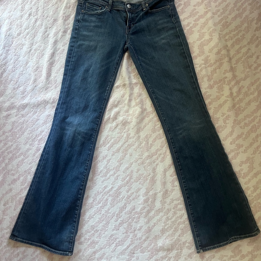 Citizens of Humanity low waist  Ingrid flair y2k